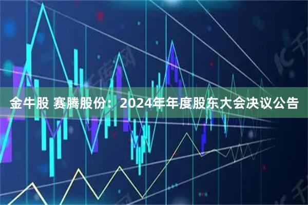 金牛股 赛腾股份：2024年年度股东大会决议公告