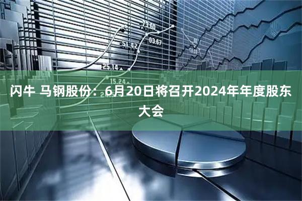 闪牛 马钢股份：6月20日将召开2024年年度股东大会