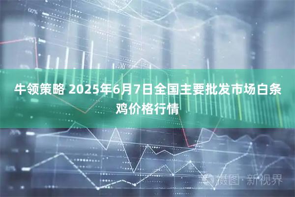 牛领策略 2025年6月7日全国主要批发市场白条鸡价格行情